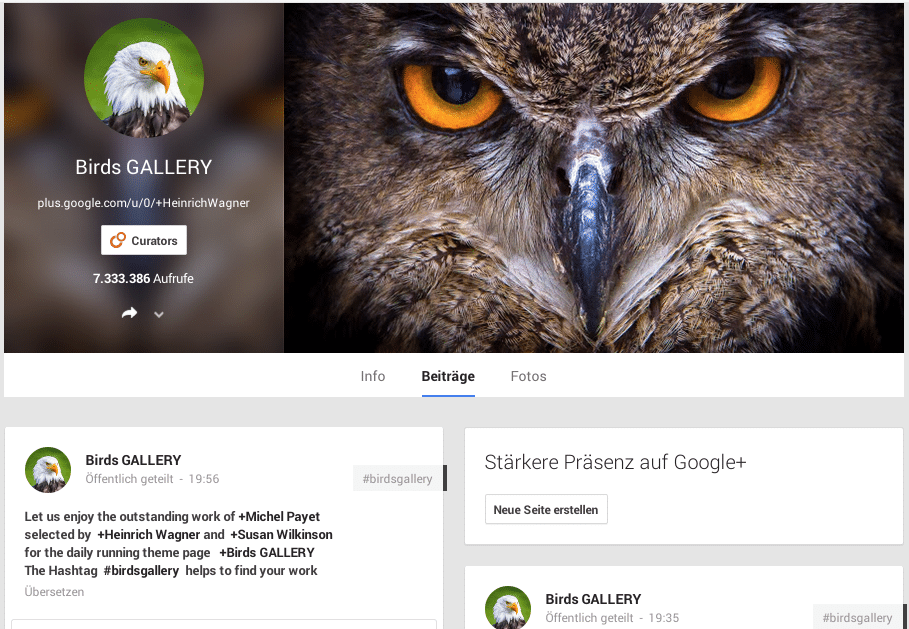 Birds-GALLERY-Google+