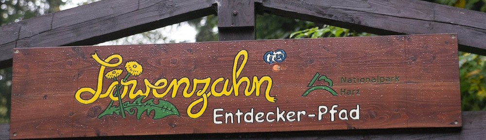 Löwenzahnpfad Harz in Drei Annen Hohne